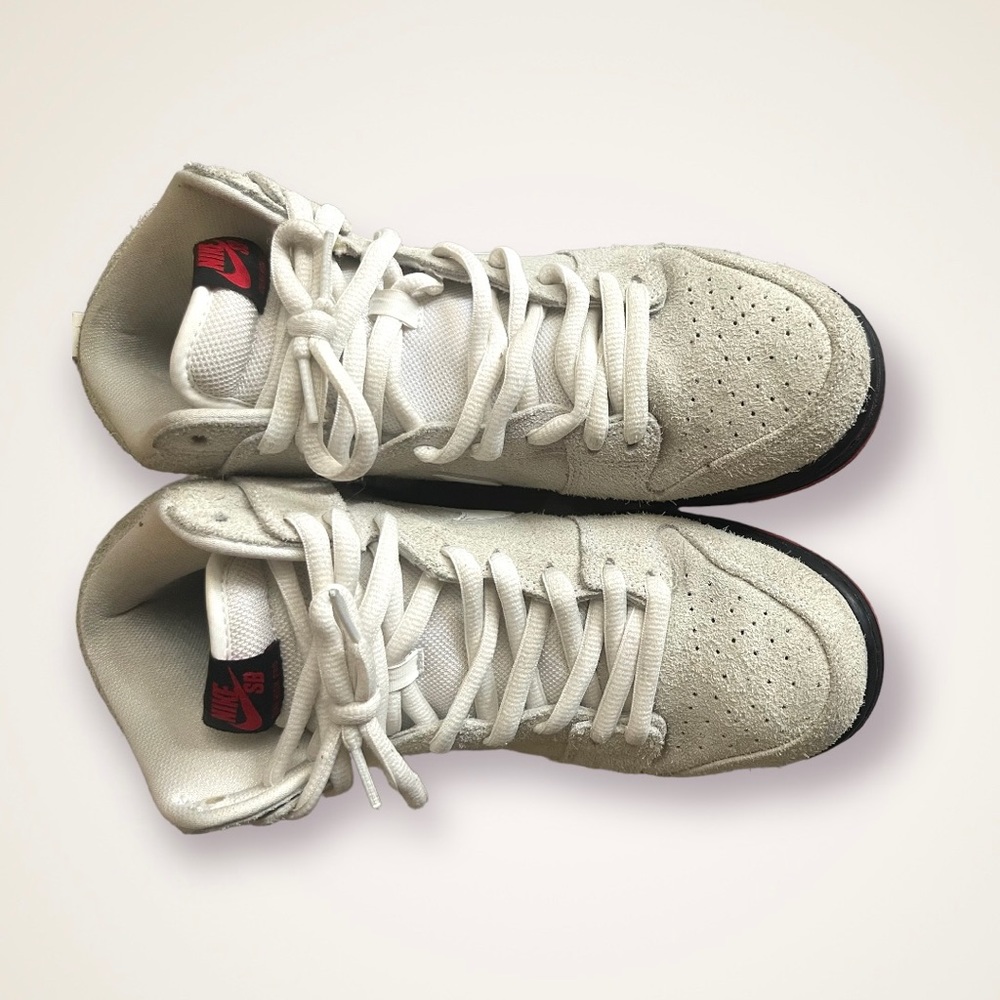 Nike an dunks “wolf in sheeps clothing” size 9.5 men’s